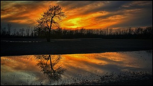 Sunset Reflection