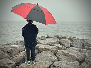 Longing for Sunshine