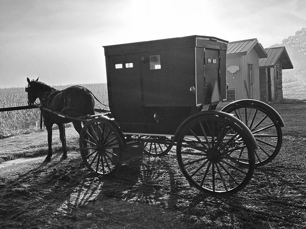 Sunrise in Amish Country Print