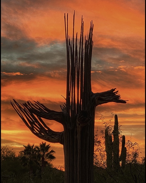 Orange Arizona Sky Print