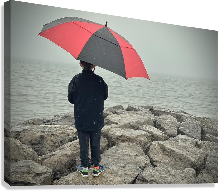 Longing for Sunshine Canvas Print