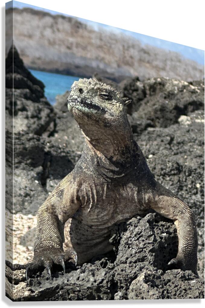Guardian of the Beach Canvas Print