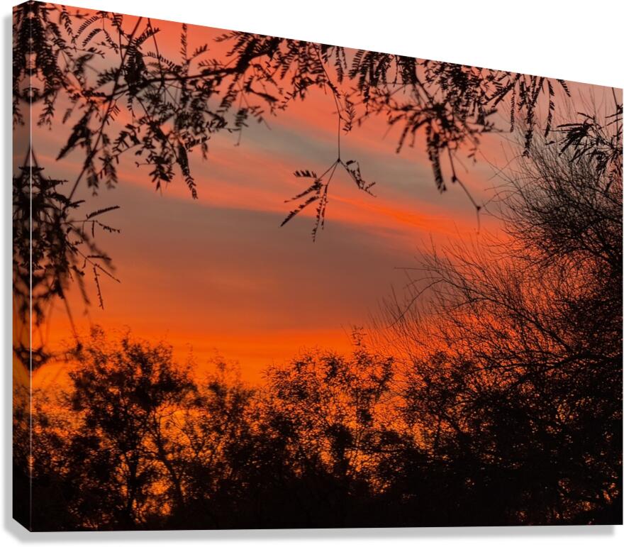 Red Sky at Night Canvas Print