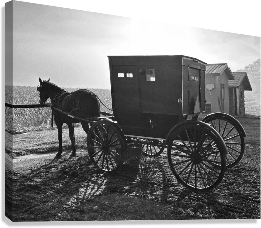 Sunrise in Amish Country Canvas Print