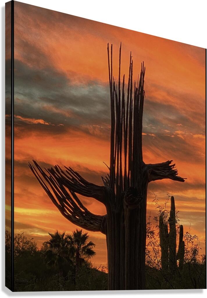 Orange Arizona Sky Canvas Print