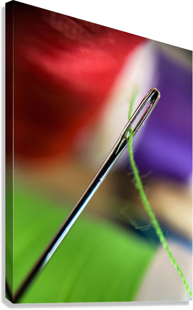 The Eye of The Needle Canvas Print