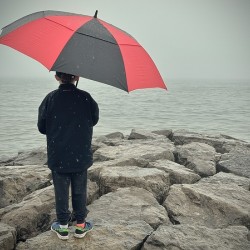 Longing for Sunshine