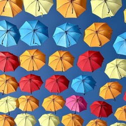 Umbrella Sky
