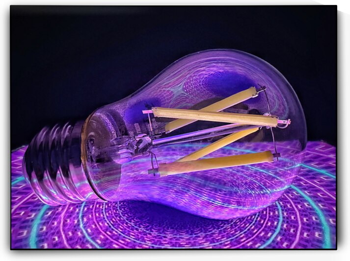 Purple Bulb by Bob Hudson