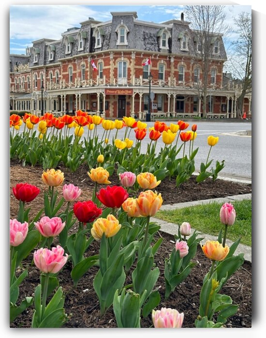 Prince of Wales Hotel by Bob Hudson