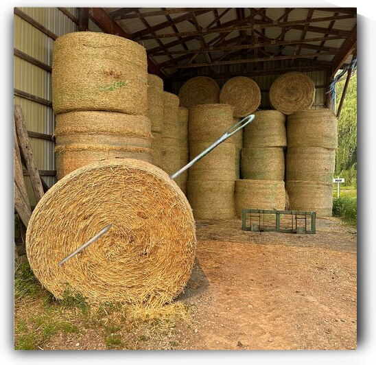 Needle in Haystack by Bob Hudson