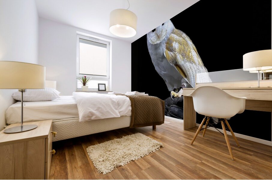 Barn Owl Mural print