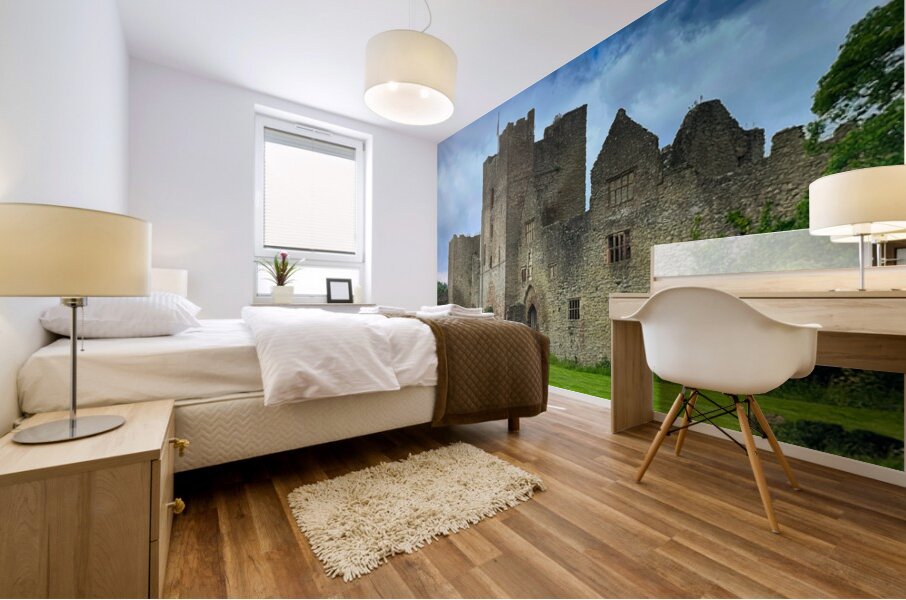 Ludlow Castle Mural print