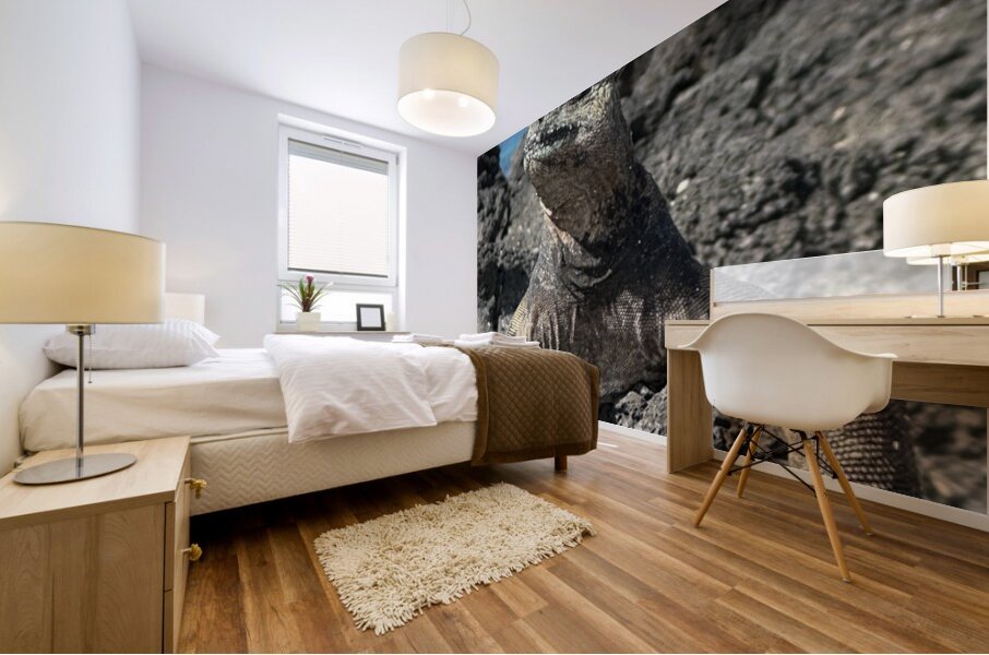 Guardian of the Beach Mural print