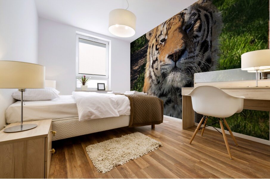 Tiger Mural print