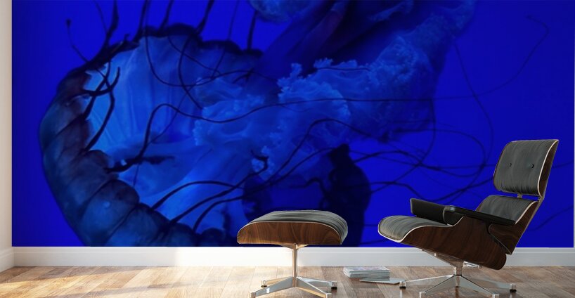 Indigo Jellyfish Wall Murals