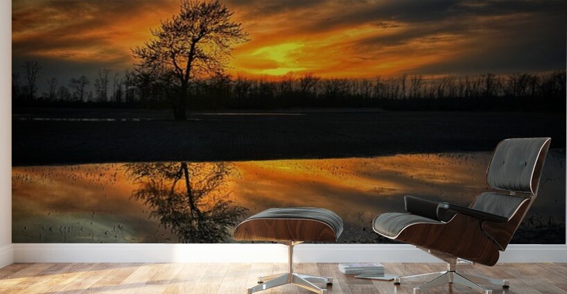 Sunset Reflection Wall Murals