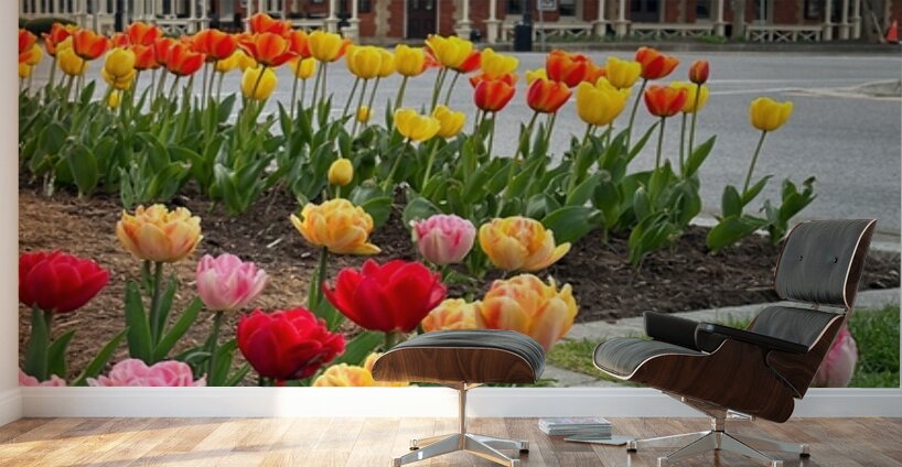 Prince of Wales Hotel Wall Murals