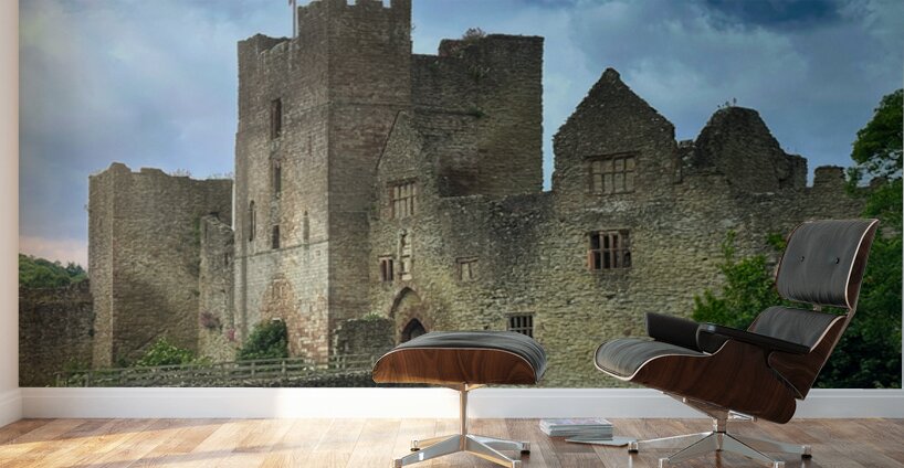 Ludlow Castle Wall Murals