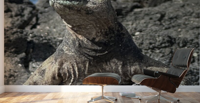 Guardian of the Beach Wall Murals