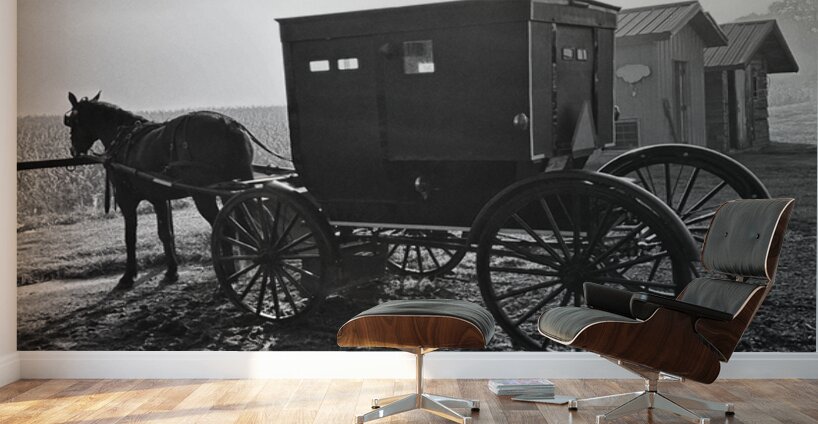 Sunrise in Amish Country Wall Murals