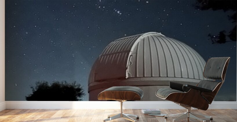 Kitt Peak at Night Wall Murals