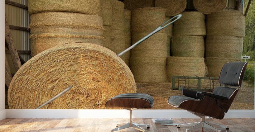 Needle in Haystack Wall Murals