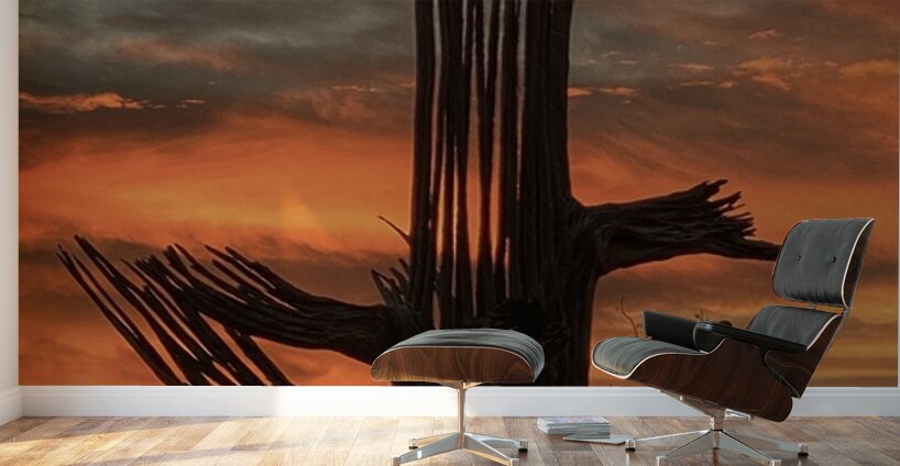 Orange Arizona Sky Wall Murals