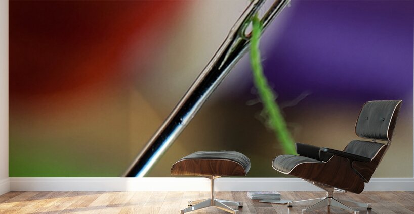 The Eye of The Needle Wall Murals