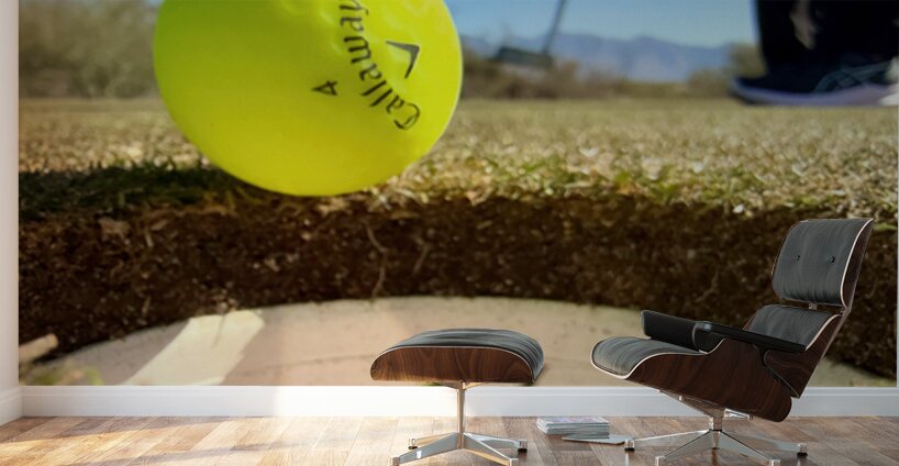 Sink the Putt Wall Murals