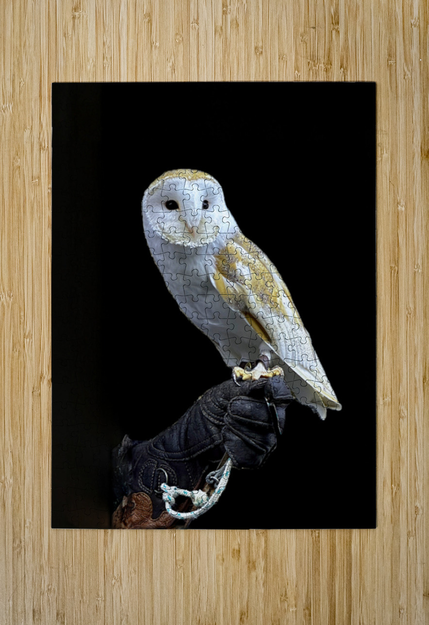 Barn Owl Bob Hudson Puzzle printing