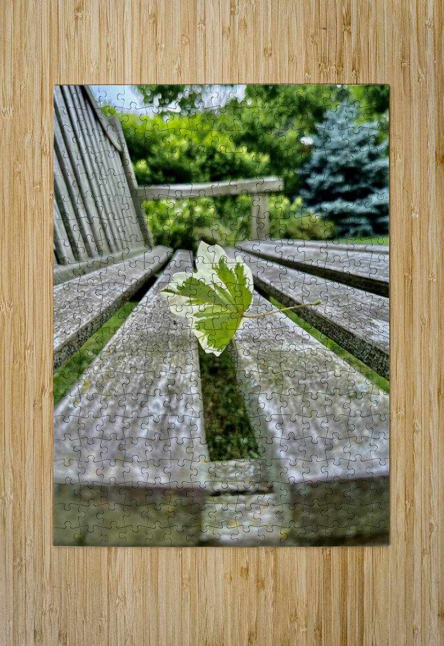 Lonely Leaf Bob Hudson Puzzle printing