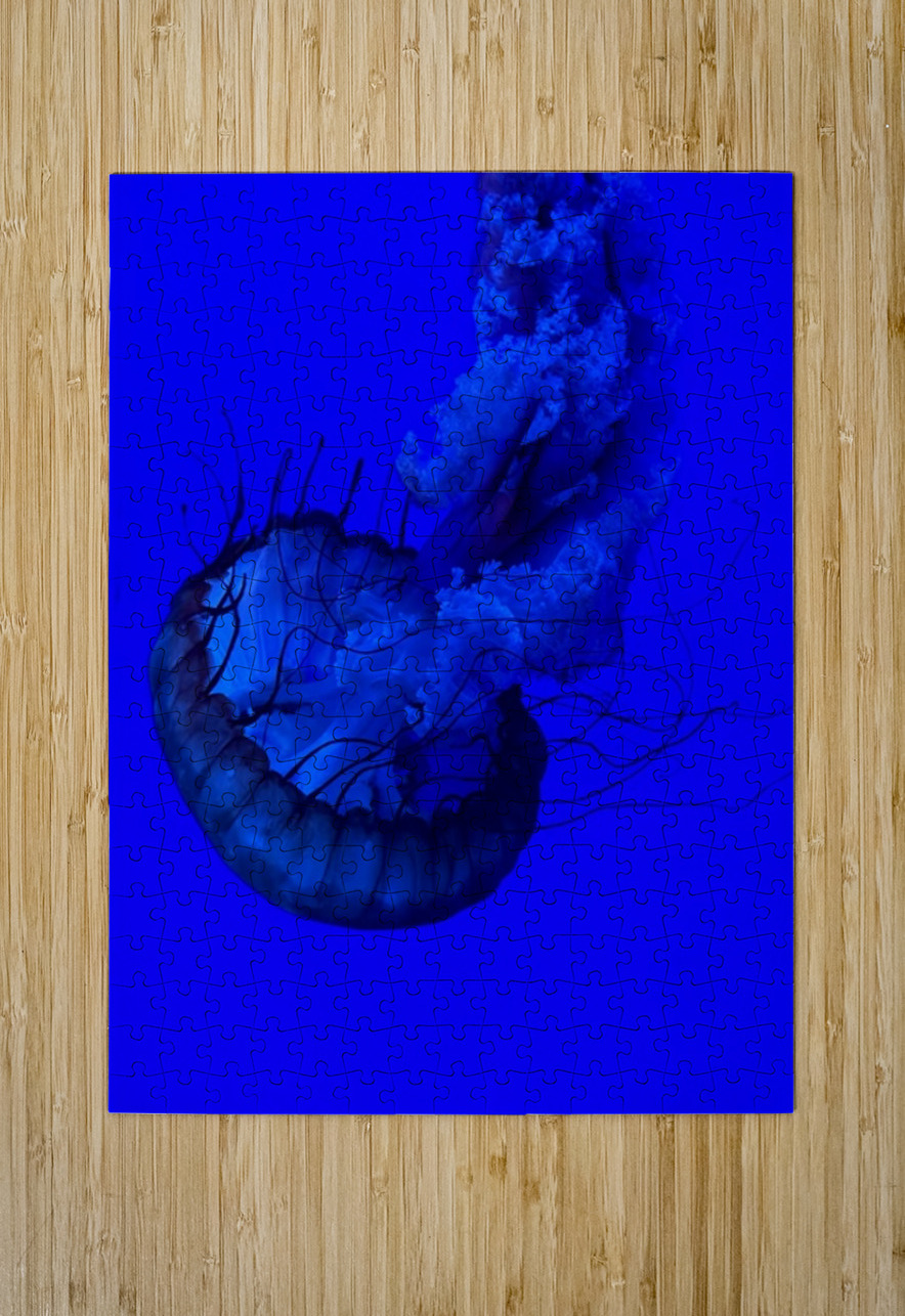 Indigo Jellyfish Bob Hudson Puzzle printing