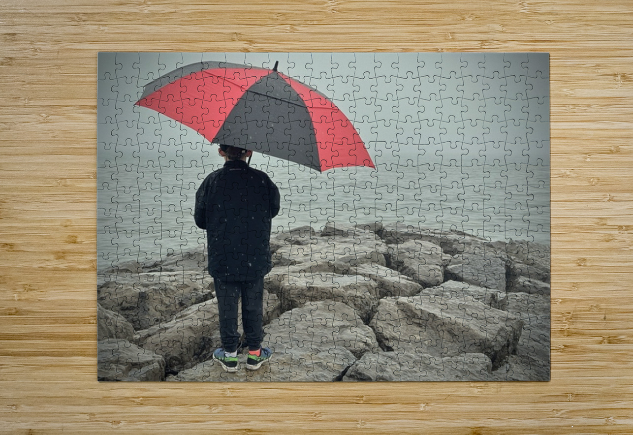 Longing for Sunshine Bob Hudson Puzzle printing