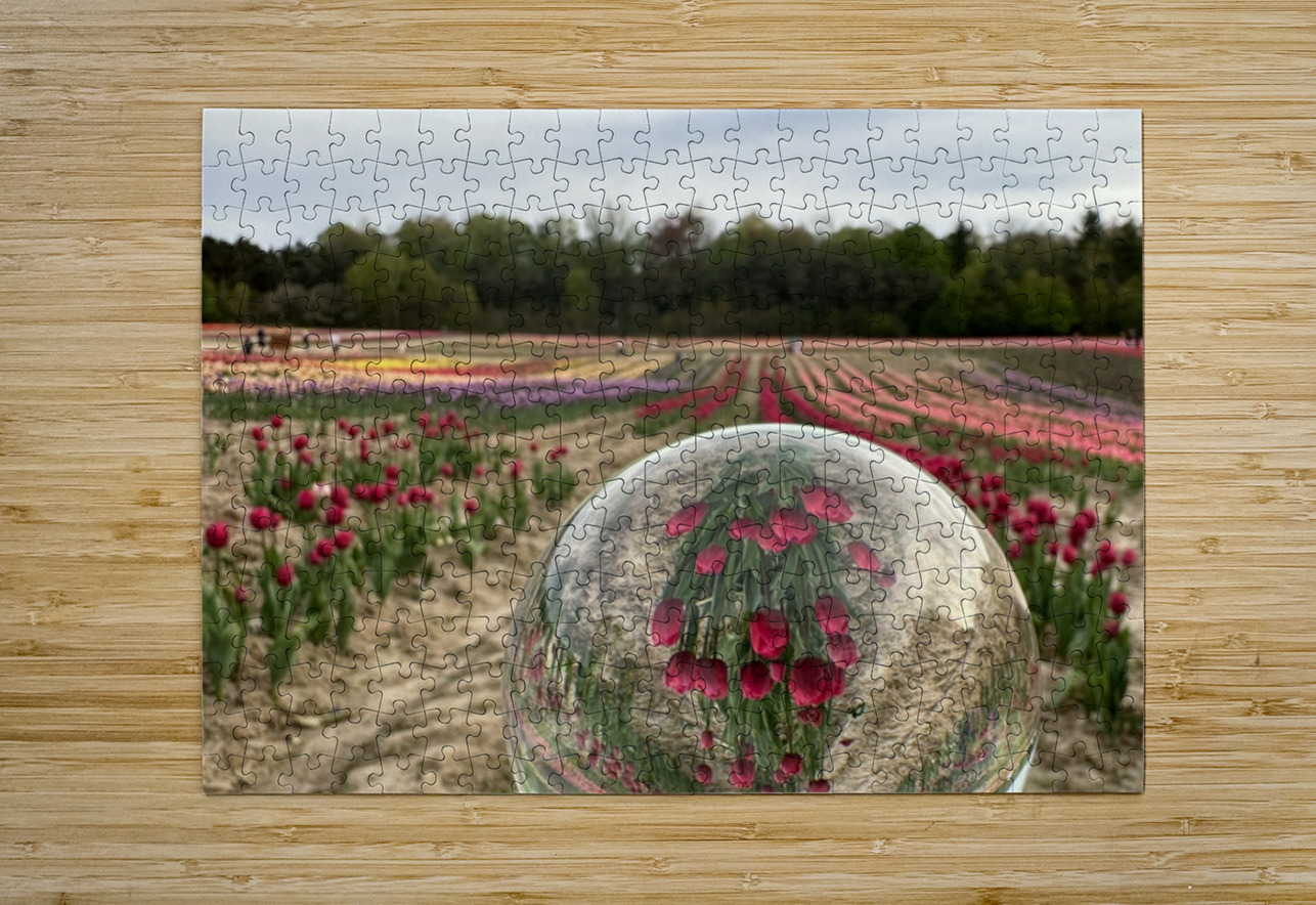 Tulip Farm Bob Hudson Puzzle printing