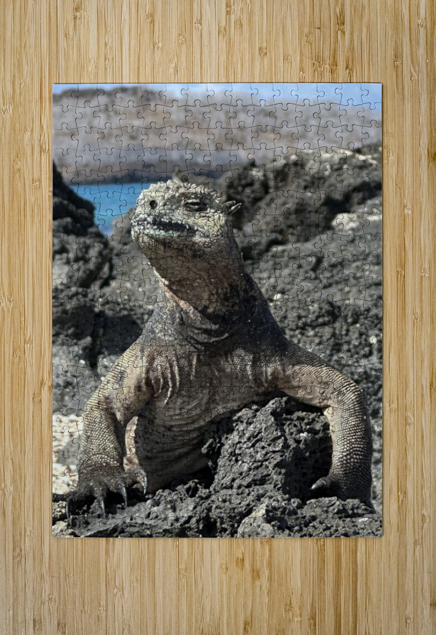 Guardian of the Beach Bob Hudson Puzzle printing