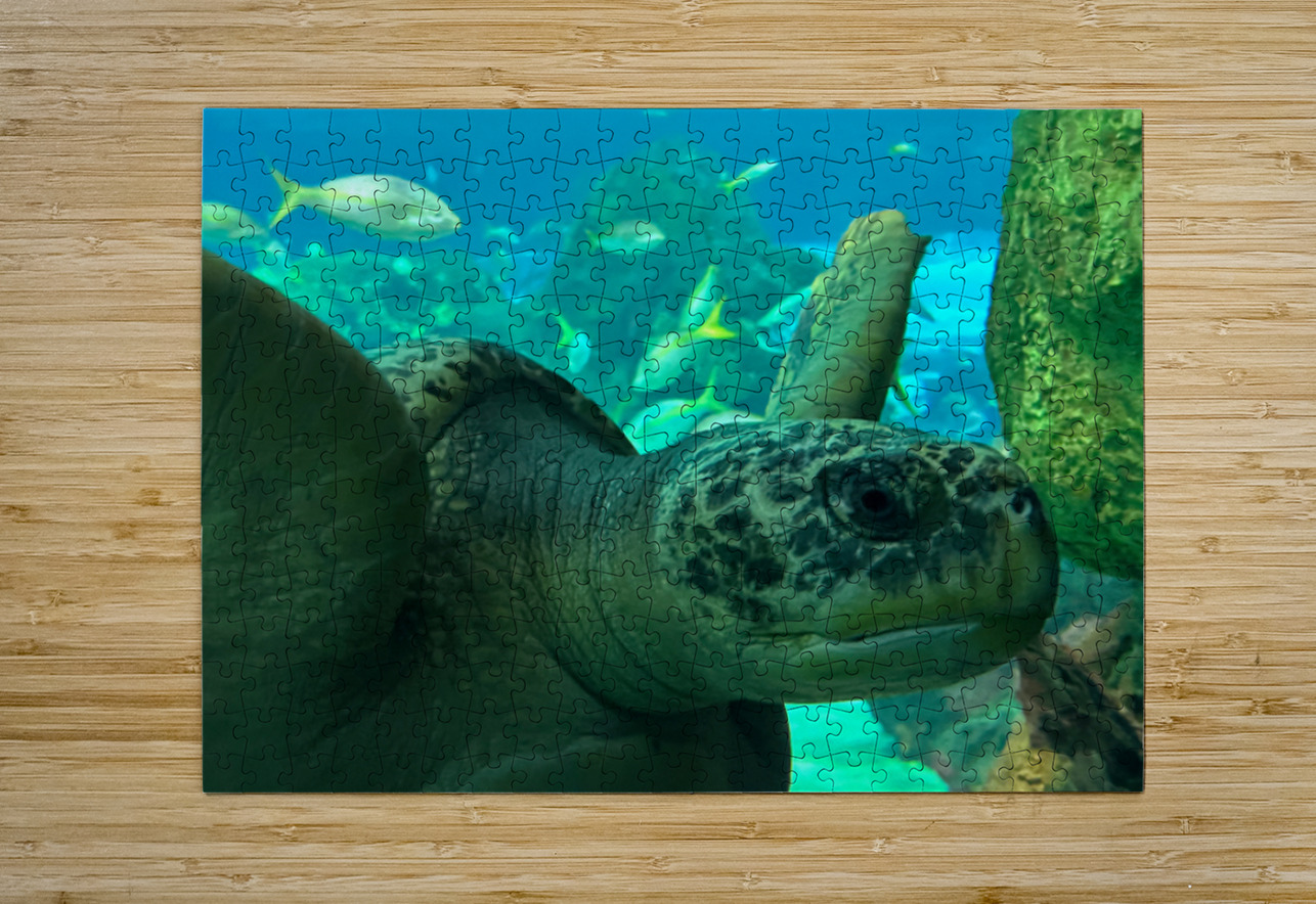 Sea Tortoise Bob Hudson Puzzle printing