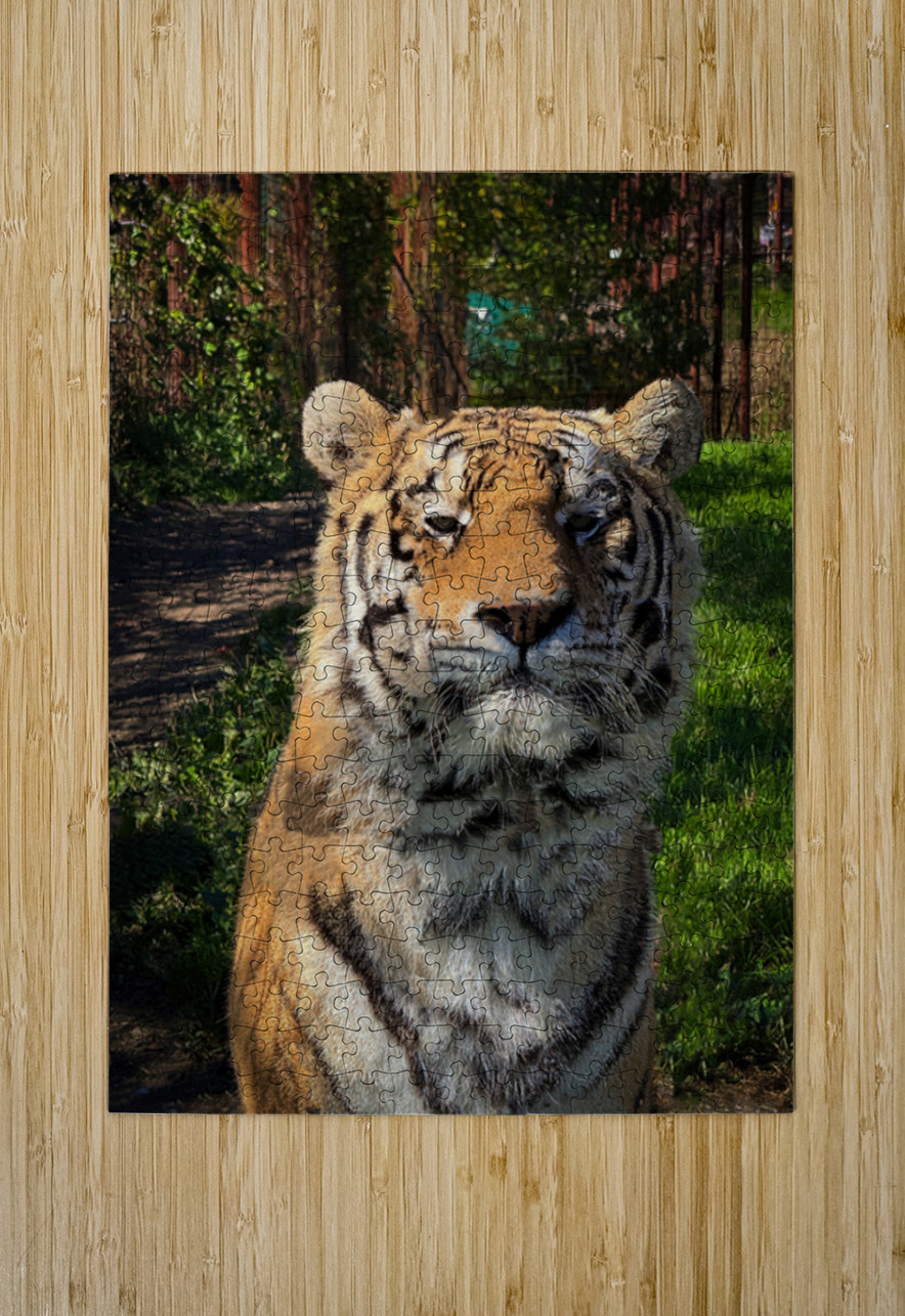 Tiger Bob Hudson Puzzle printing
