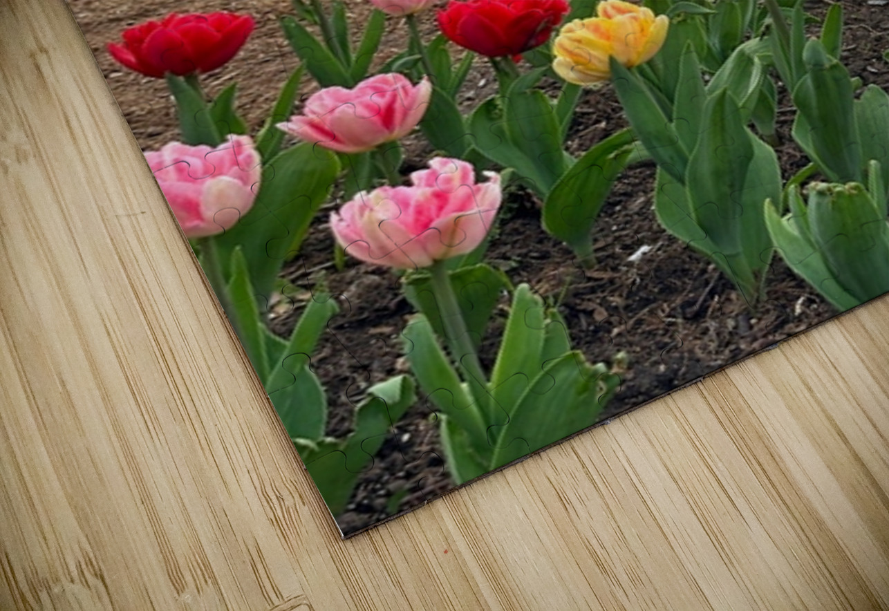 Prince of Wales Hotel Bob Hudson Puzzle