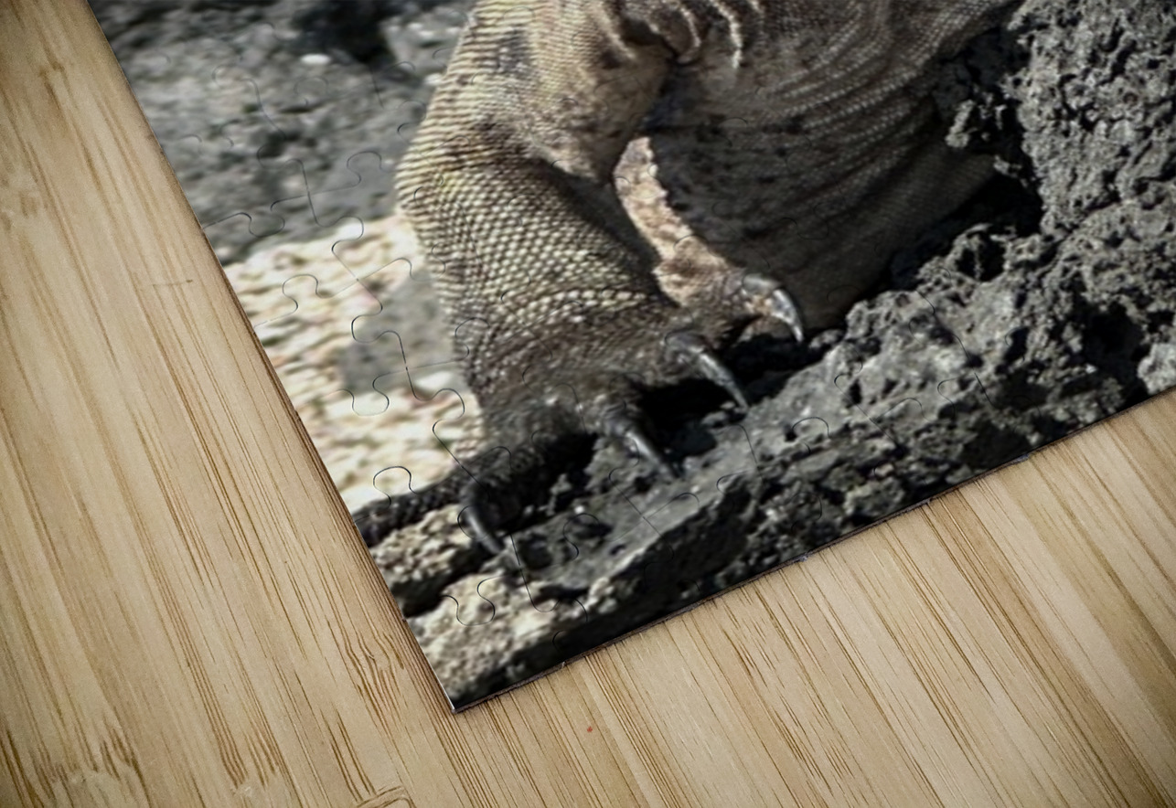 Guardian of the Beach Bob Hudson Puzzle