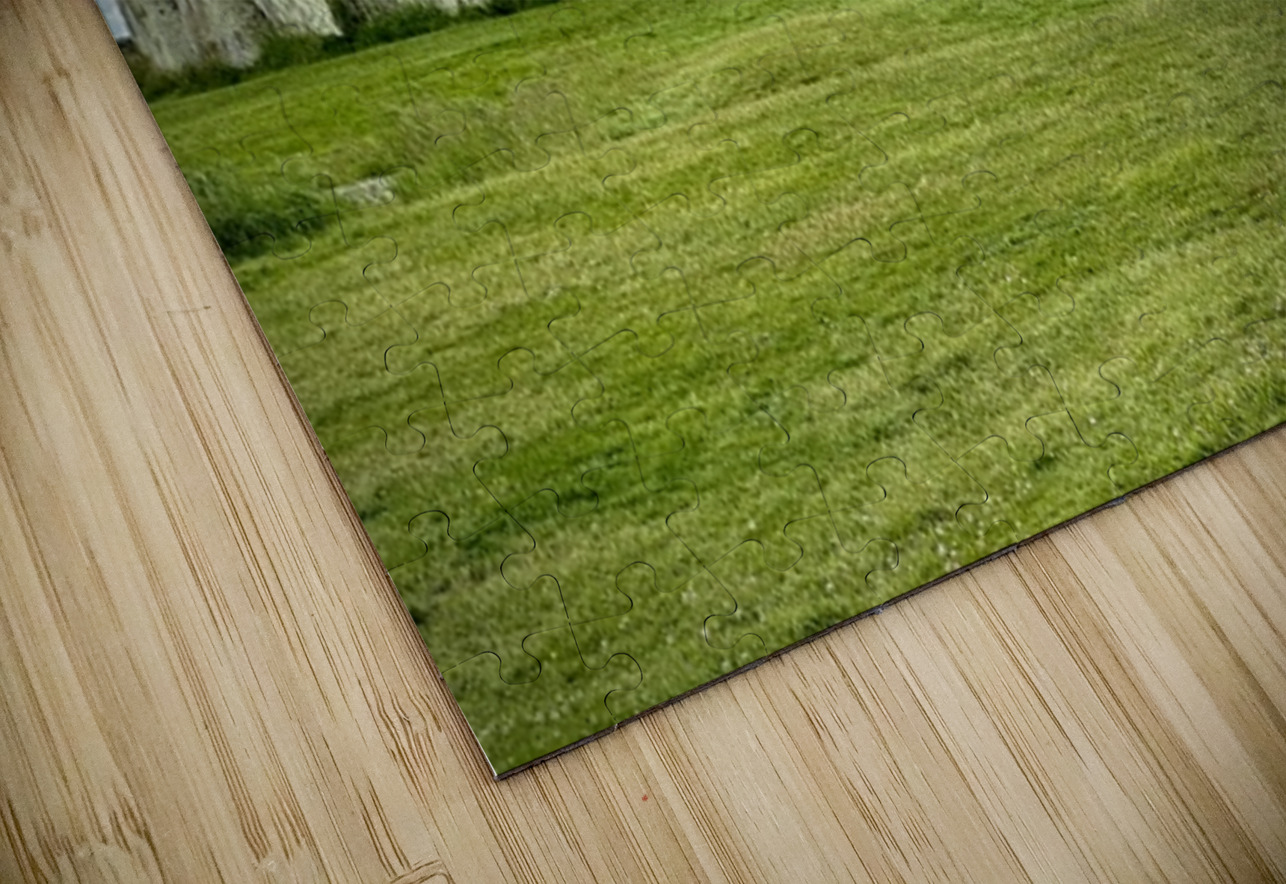 Stonehenge Bob Hudson Puzzle