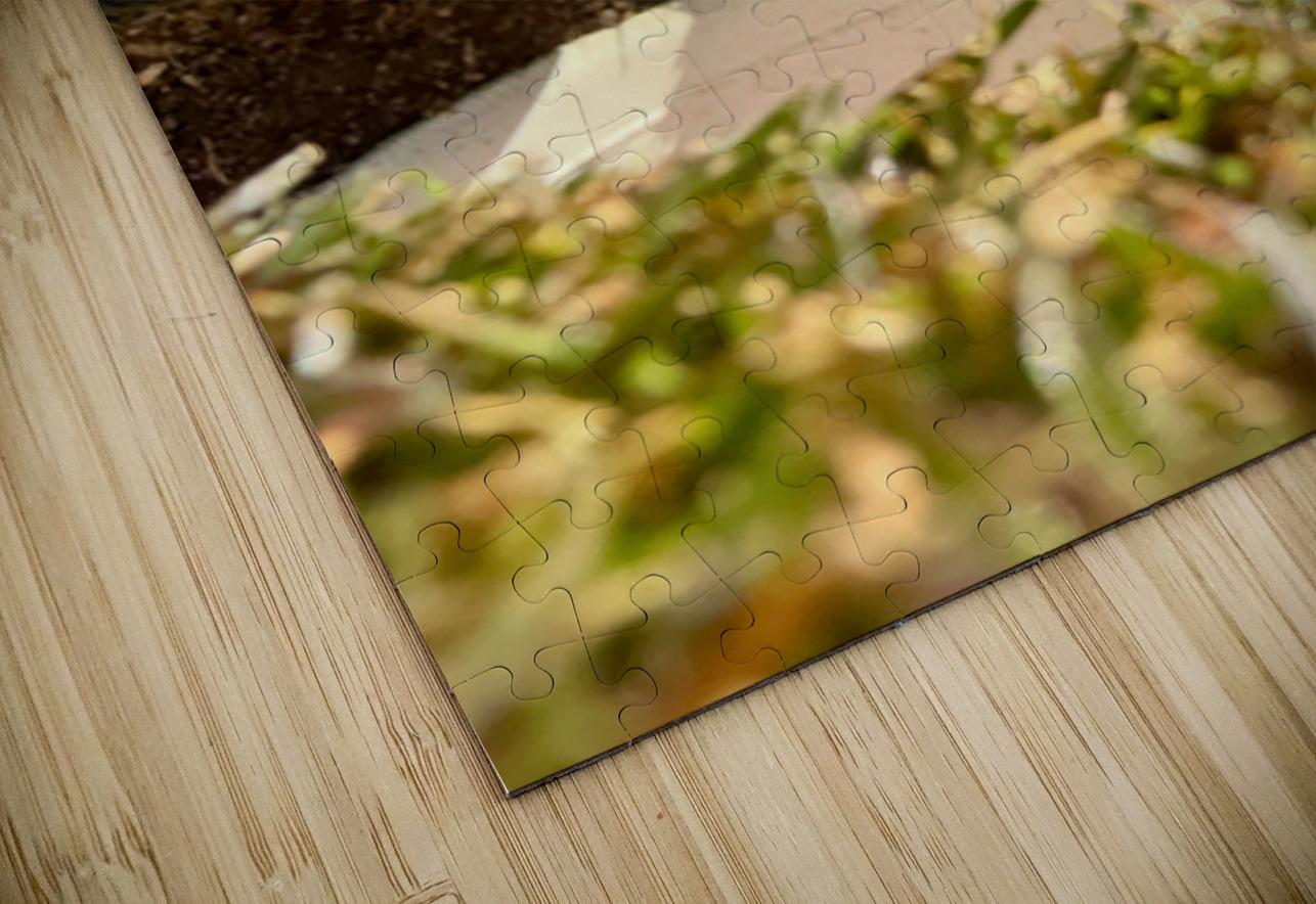 Sink the Putt Bob Hudson Puzzle