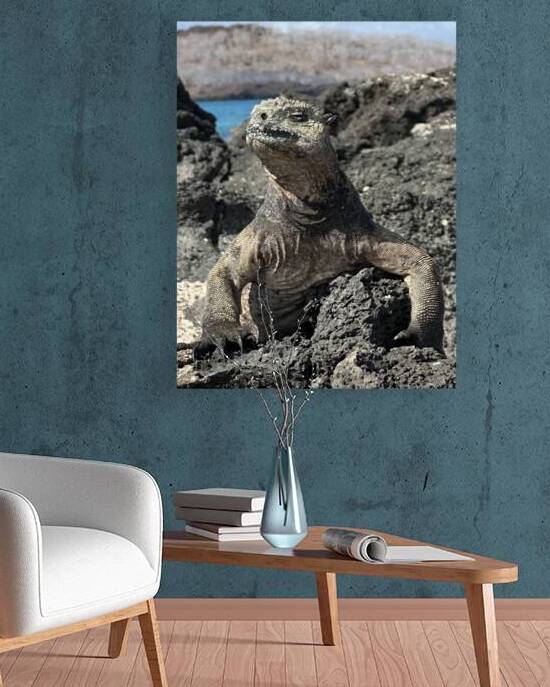 Guardian of the Beach by Bob Hudson